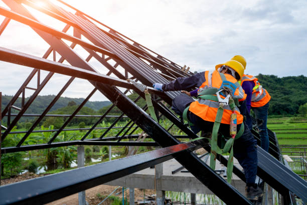 Best Storm Damage Roof Repair  in Three Forks, MT