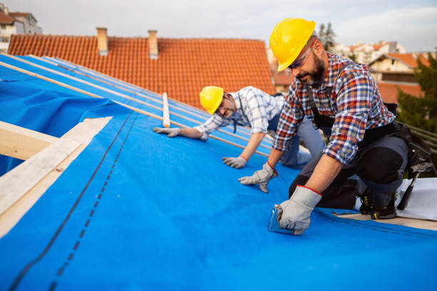 Best Roof Gutter Cleaning  in Three Forks, MT