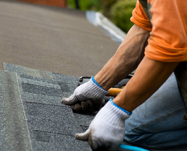 Best Roof Gutter Cleaning  in Three Forks, MT
