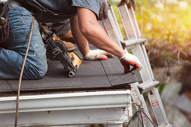 Best Roof Gutter Cleaning  in Three Forks, MT